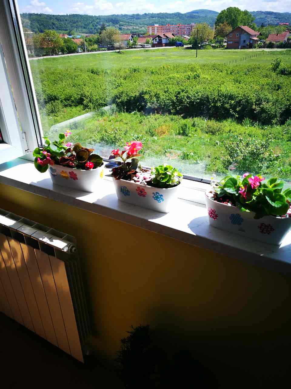 image-0-02-05-6ae92e7ed7a6ed96681fe653f8906d4bfd4e265672230a4fcc0285bd1917e669-V